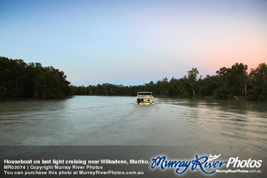 Houseboat on last light cruising near Wilkadene, Murtho, Riverland