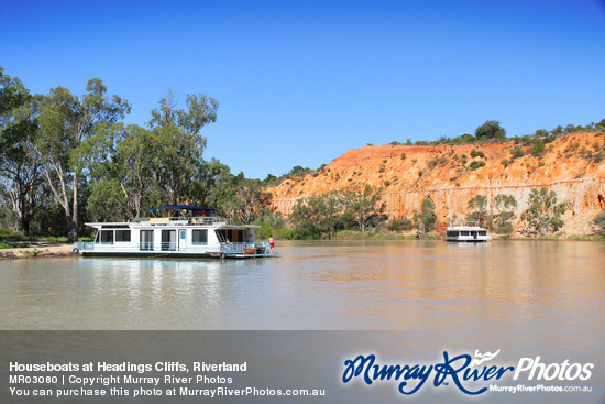 Houseboats at Headings Cliffs, Riverland