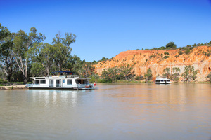 Houseboats at Headings Cliffs, Riverland