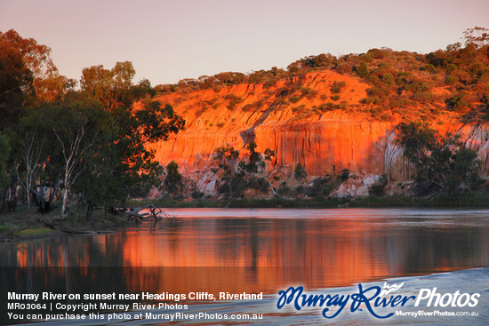 Murray River on sunset near Headings Cliffs, Riverland