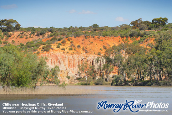 Cliffs near Headings Cliffs, Riverland