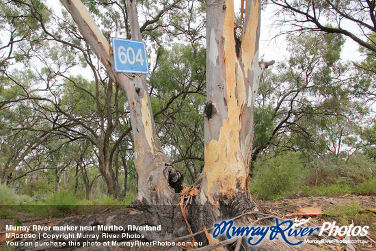 Murray River marker near Murtho, Riverland