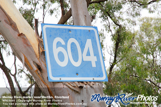 Murray River marker near Murtho, Riverland