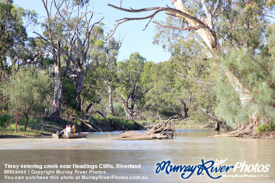 Tinny entering creek near Headings Cliffs, Riverland