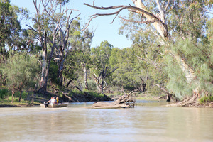 Tinny entering creek near Headings Cliffs, Riverland