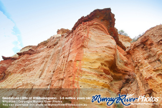 Sandstone cliffs of Wilabalangaloo - 3-6 million years old