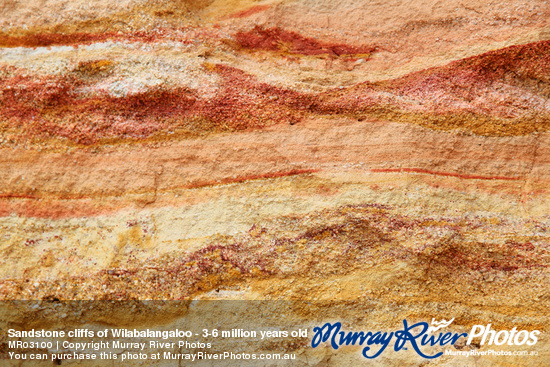 Sandstone cliffs of Wilabalangaloo - 3-6 million years old