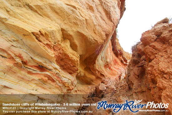 Sandstone cliffs of Wilabalangaloo - 3-6 million years old