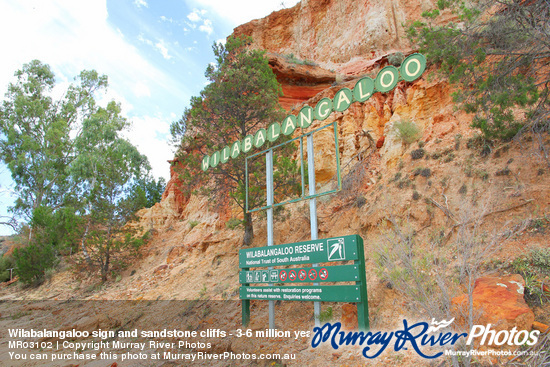 Wilabalangaloo sign and sandstone cliffs - 3-6 million years old