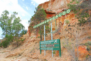 Wilabalangaloo sign and sandstone cliffs - 3-6 million years old