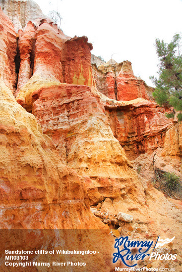 Sandstone cliffs of Wilabalangaloo - 3-6 million years old