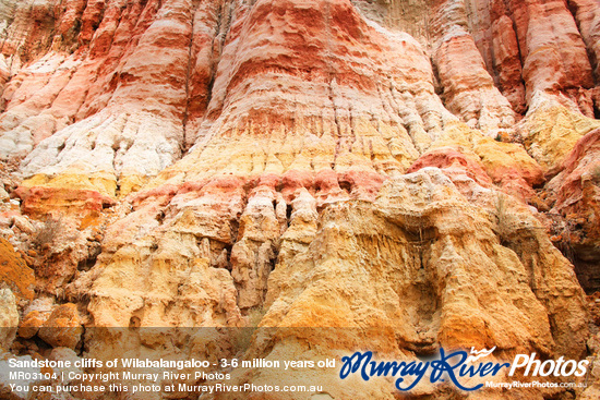 Sandstone cliffs of Wilabalangaloo - 3-6 million years old