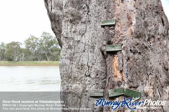 River flood markers at Wilabalangaloo