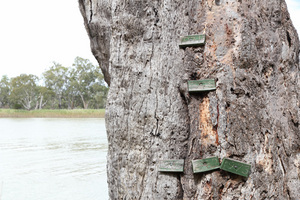 River flood markers at Wilabalangaloo