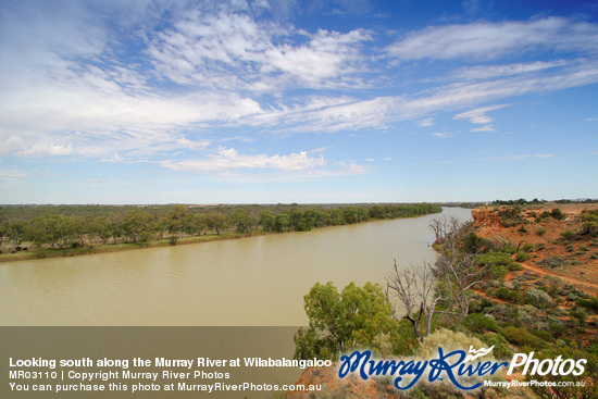 Looking south along the Murray River at Wilabalangaloo