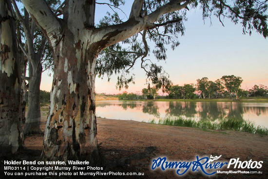 Holder Bend on sunrise, Waikerie