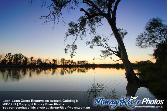 Loch Luna Game Reserve on sunset, Cobdogla