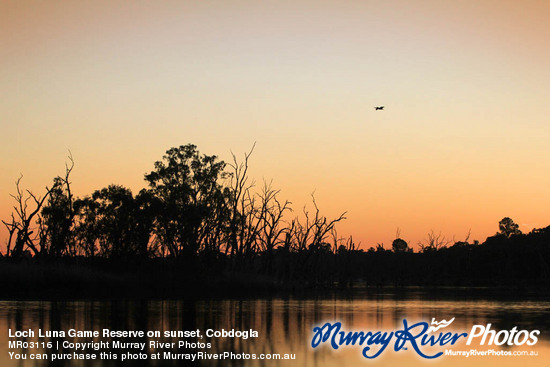 Loch Luna Game Reserve on sunset, Cobdogla