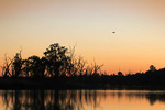 Loch Luna Game Reserve on sunset, Cobdogla