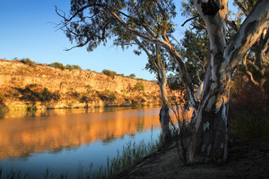 Maize Island Conservation Park, Waikerie