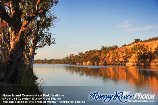 Maize Island Conservation Park, Waikerie