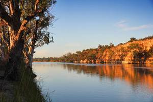 Maize Island Conservation Park, Waikerie