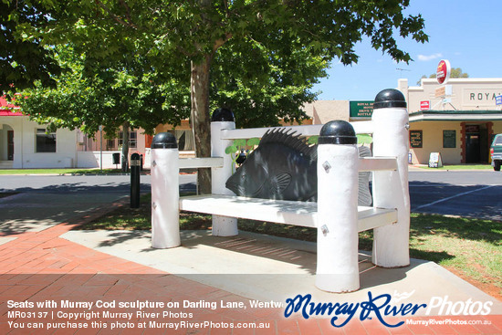 Seats with Murray Cod sculpture on Darling Lane, Wentworth