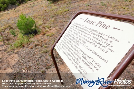 Lone Pine War Memorial, Peake, South Australia