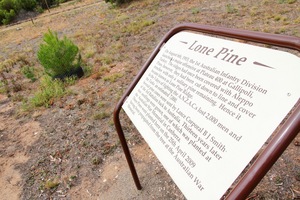 Lone Pine, Peake