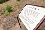 Lone Pine War Memorial, Peake, South Australia