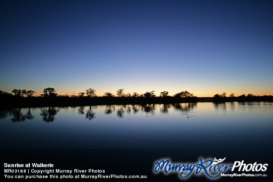 Sunrise at Waikerie