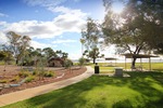 Barmera Sedunary Park Playground