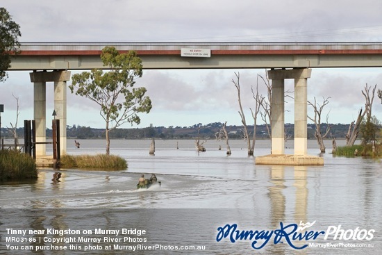 Tinny near Kingston on Murray Bridge