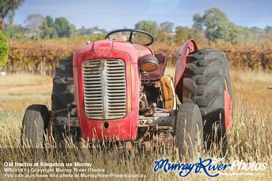 Old tractor at Kingston on Murray