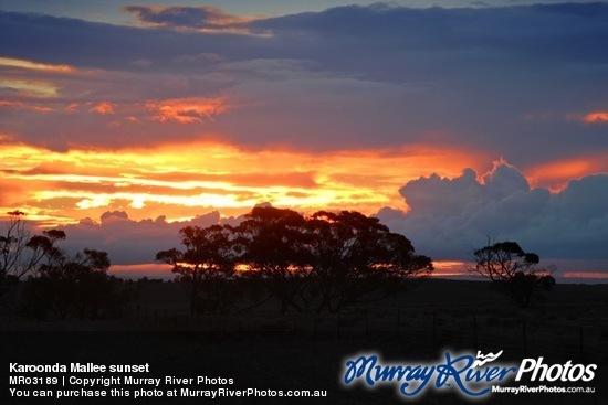 Karoonda Mallee sunset