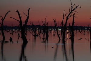 Lake Mulwala on last light with Yarrawonga lights in background