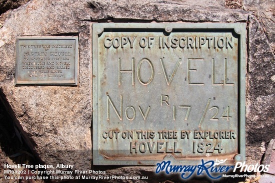 Hovell Tree plaque, Albury