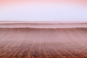 Sunrise fog over wheat fields of Waikerie