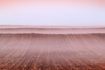 Sunrise fog over wheat fields of Waikerie