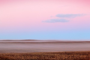 Sunrise fog over wheat fields of Waikerie