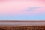 Sunrise fog over wheat fields of Waikerie