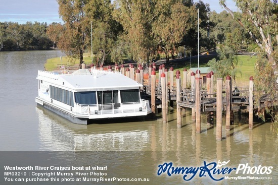 Wentworth River Cruises boat at wharf