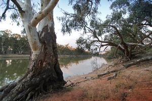 Sunset over the Murray River at Wemen, Victoria