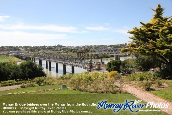 Murray Bridge bridges over the Murray from the Roundhouse