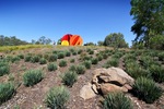 Ken Raff Sculpture Wodonga entrance