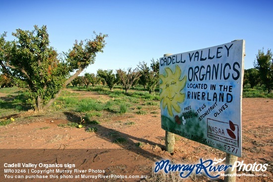 Cadell Valley Organics sign