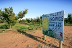 Cadell Valley Organics sign