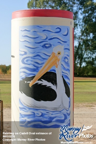 Painting on Cadell Oval entrance of Pelican