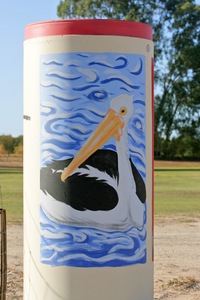 Painting on Cadell Oval entrance of Pelican