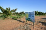 Cadell Valley Organics sign